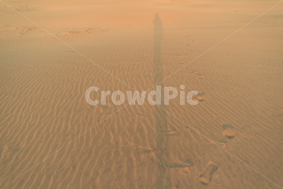 해변,모래,물결,sand,wave,그림자