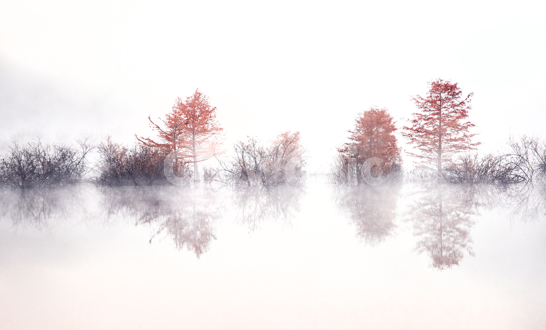 가을,나무,반영,호수,용담호,가을,계절,fall,autumn,season,자연,풍경,nature,landscape,한국자연풍경,한국자연경관,korea nature landscape,outdoors,옥외