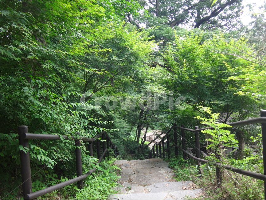 초록,자연,풍경,산책,산속,나뭇잎,풀잎,자연,풍경,nature,landscape,garden,정원,outdoors,옥외,arbour,정자