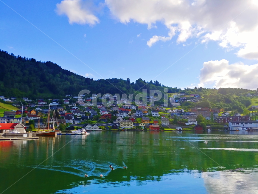 Field,fjord,Norway,nature,dockside,Hardanger,North Europe,lake