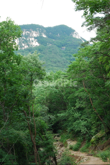 희양산,백두대간,문경시,하늘,자연,자연,풍경,nature,landscape,한국자연풍경,한국자연경관,korea nature landscape,vegetation,초목,plant,식물,outdoors,옥외,land,땅,tree,나무