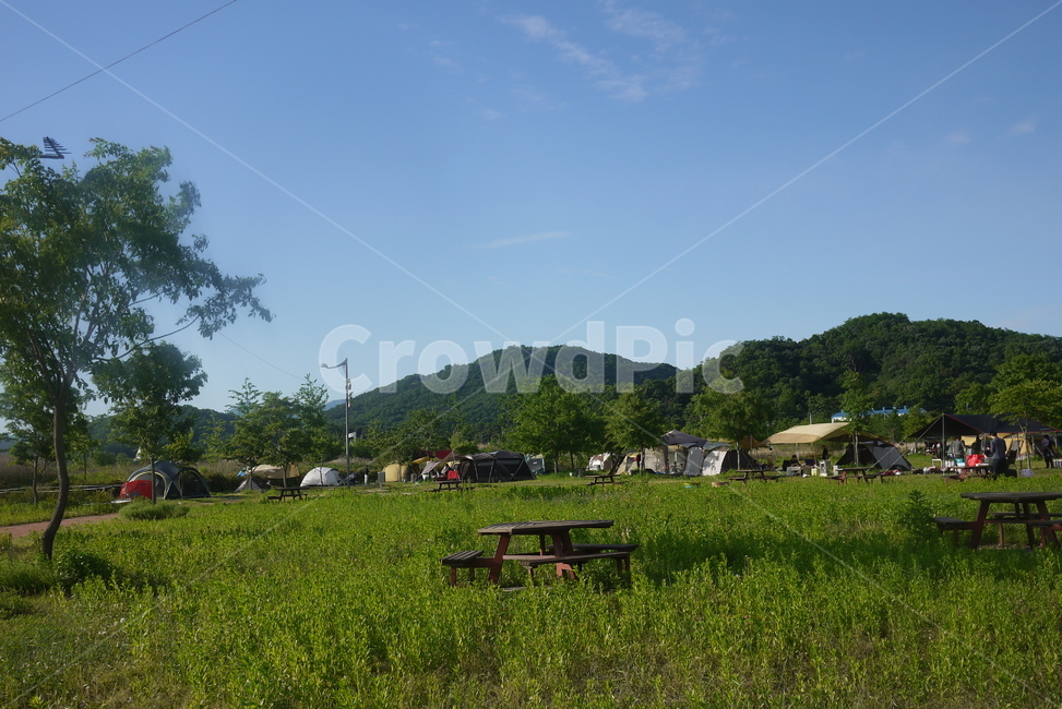 자연,nature,들,field,목초지,농촌,farm,캠핑,캠핑장소