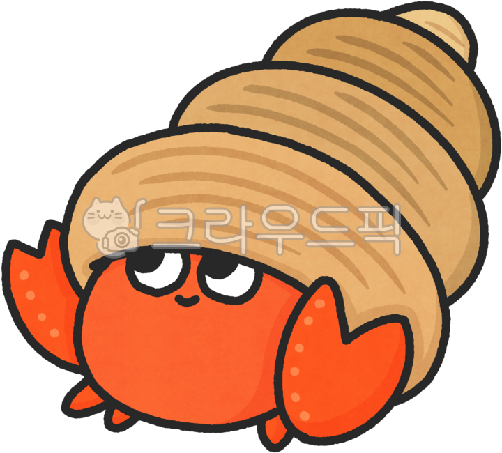 sea,sea,sea life,underwater,hermit crab,hermitcrab,cute,character