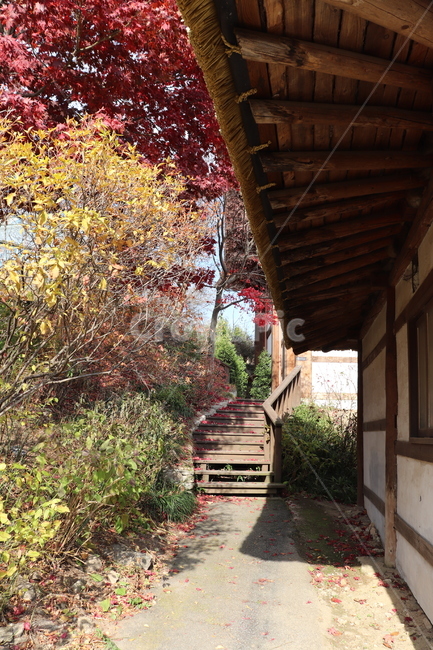 수목원,공원,식물,tree,plant,park,arboretum,나무,단풍,가을,autumn,mapleleaf,단풍잎,한옥,한옥집,정원,정자,outdoors,옥외,현관