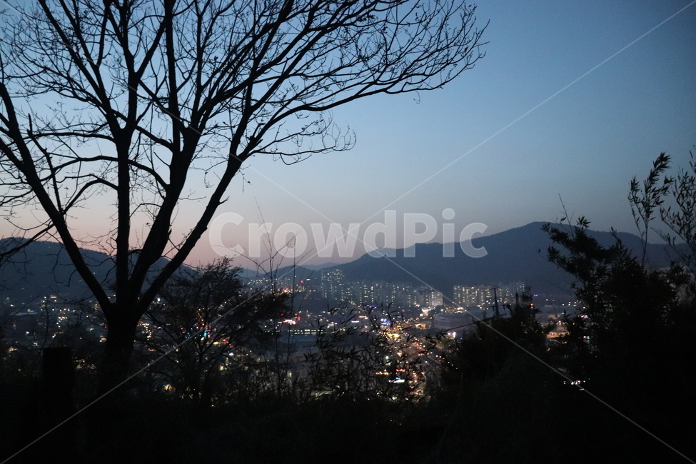 야경,도시,나무,nightview,city,밤,산,불빛