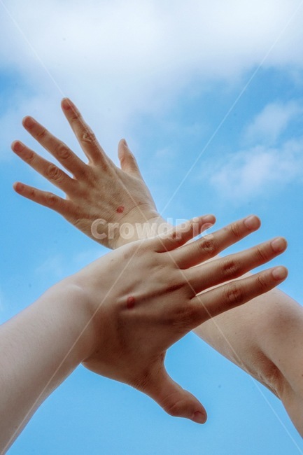 투표,하늘,손,국민의권리,선거,사람,인물,인간,human,person,신체일부,몸,body