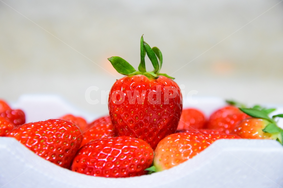 딸기,음식,과일,푸드,후식,스트로베리,strawberry,빨강,dessert,신선한,식재료,요리,food,음식,식재료,요리,food,cook,meal,dishes,food reserves,과일,열매,fruit