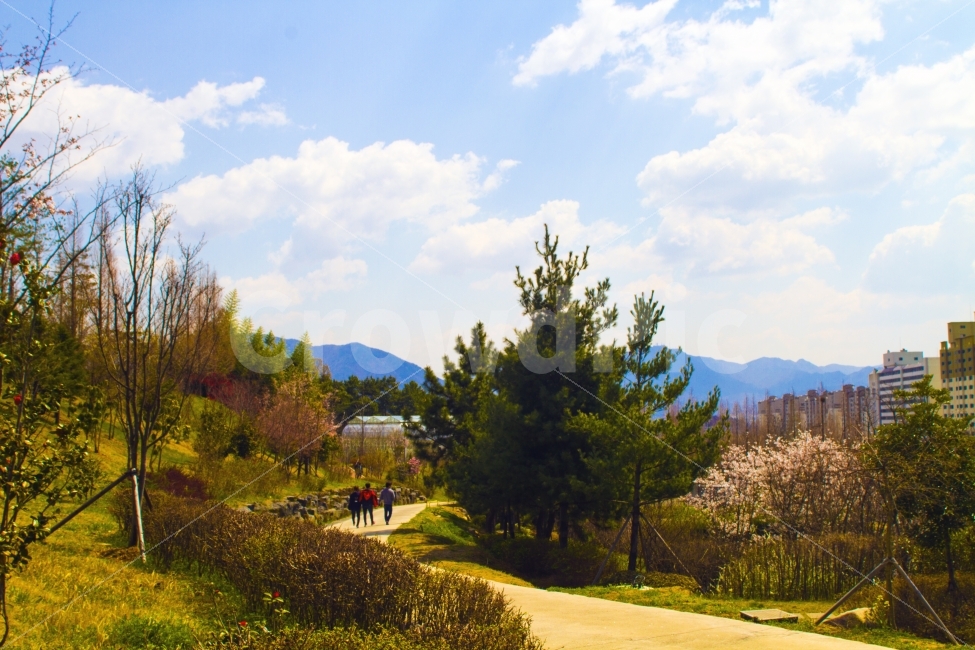 풍경사진,공원,하늘,감성,경상남도,자연,풍경,nature,landscape,한국자연풍경,한국자연경관,korea nature landscape,도시,city,한국도시풍경,한국도시경관,korea cityscape,tree,나무,plant,식물,outdoors,옥외,fir,전나무,abies,아비,person,사람,human,인간