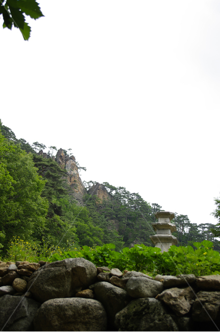 석탑,바위,산,나무,식물,자연,풍경,nature,landscape,tree,plant