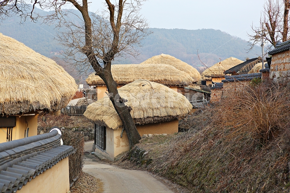 하회마을,초가집,초가,전통집,집,민속집,건물,자연,풍경,안동,한국전통,한국문화,korean traditional,korean culture