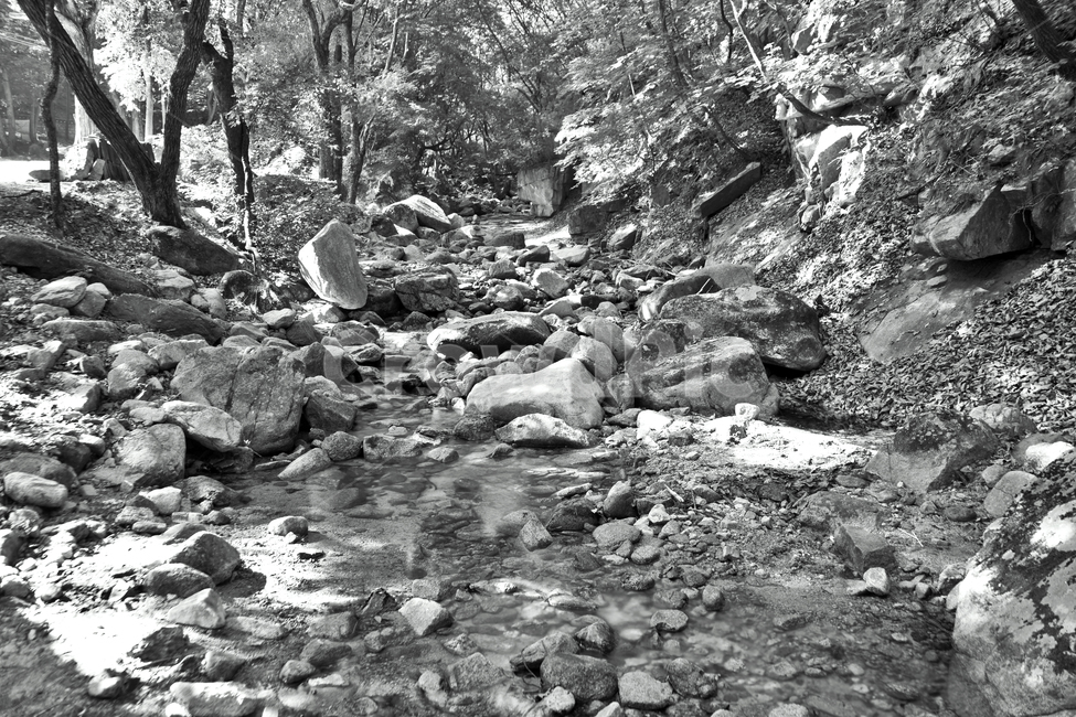 계곡,오봉산,춘천,바위,계류,숲,자연,암석,흑백,자연,풍경,nature,landscape,흑백,모노톤,monochrome,black and white,rubble,파편,slate,슬레이트