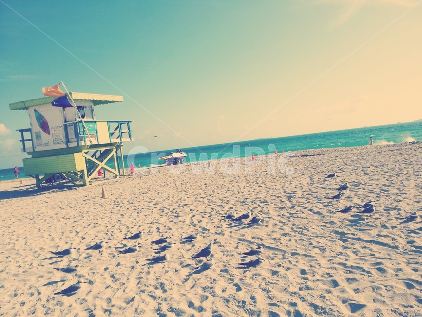 마이애미,해변,해변가,바다,바닷가,miamibeach,beach,ocean,sea
