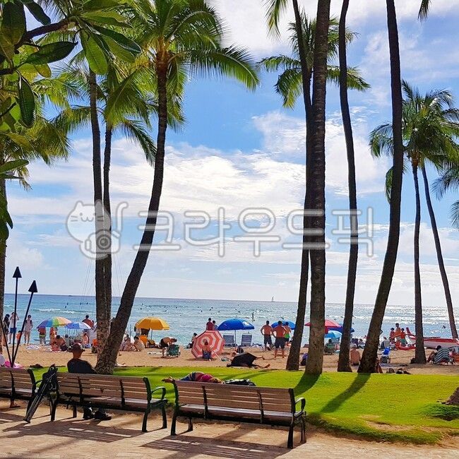 Beach,Waikiki,hawaii,Honolulu,Hawaii,hawaii beach,waikiki,summer