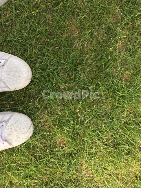 잔디,신발,초록색,풀,grass,shoes,green