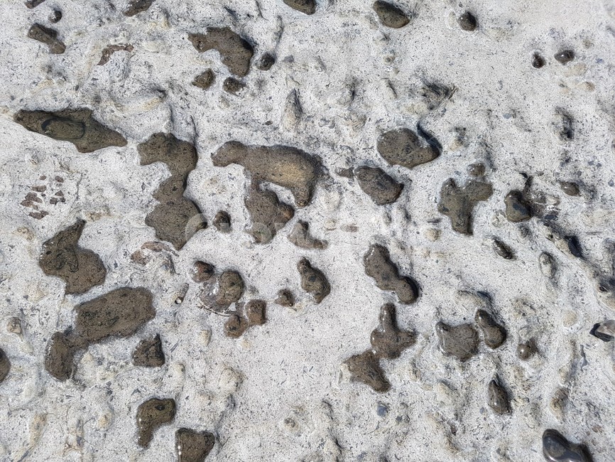 물,점,돌,점박이,해변,자연,풍경,nature,landscape,rock,록
