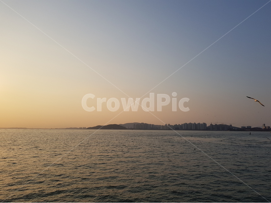 석양,노을,바다,해질녘,갈매기,자연풍경,하늘사진,바다풍경,도시풍경,풍경사진,감성사진,일상풍경,하늘감성,바다감성,구름사진,노을사진,푸른하늘,바다뷰,도시스냅,건물사진,건축사진,풍경스타그램,감성스타그램,사진기록,여행감성,힐링풍경,자연사진,풍경기록,일상사진,하늘구름,도시감성,바다하늘,뷰맛집,감성풍경,자연,풍경,nature,landscape,bird,새,animal,동물