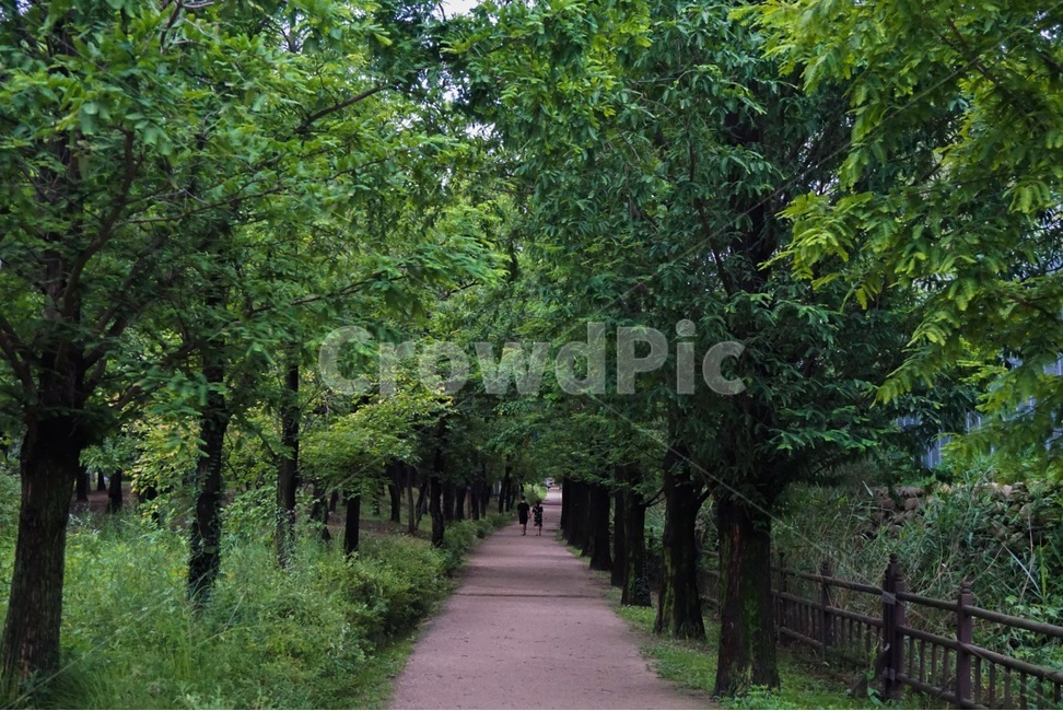 숲,공원,park,일산,forest,산책,휴식,부부,저녁,korea,ilsanlakepark,자연,풍경,nature,landscape,한국자연풍경,한국자연경관,korea nature landscape,휴식,힐링,rest,relaxation,healing,outdoors,옥외,garden,정원,arbour,정자