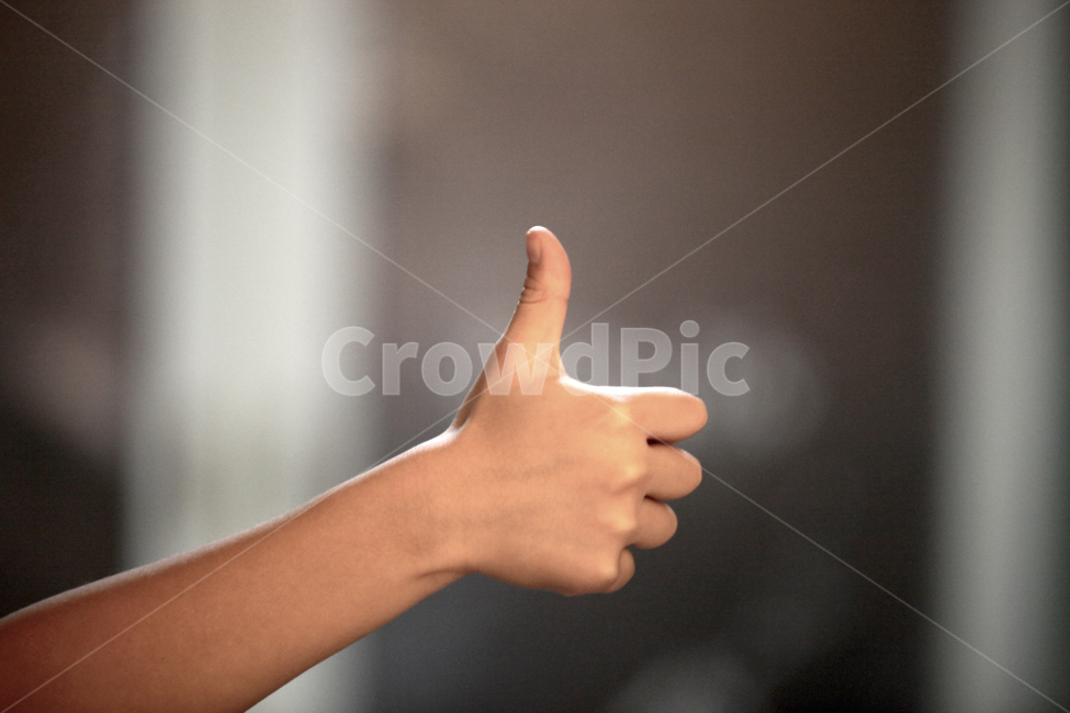 엄지,엄지손가락,최고,영웅,따봉,제일,엄지손가락,finger,thumbsup,신체일부,몸,body,손,제스처,표시,손짓,표현,gesture,hand,sign,expression,감정표현,기분,feeling,emotion