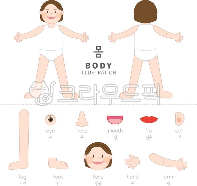 몸,나의몸,우리몸,신체,인체,사람,어린이,아이,이목구비,눈,코,입,귀,입술,몸의부분,다리,발,얼굴,손,팔,여자아이,소녀,bodyparts,몸의구성,도식화