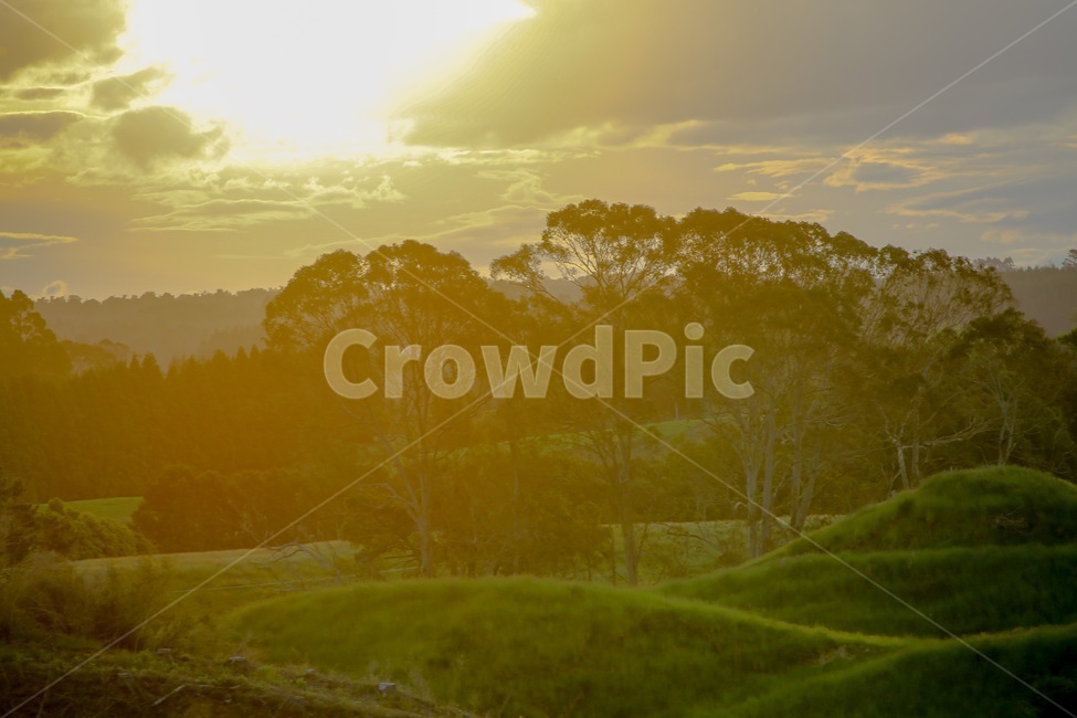 빛,field,sunlight,들,초원,풍경,자연,자연,풍경,nature,landscape