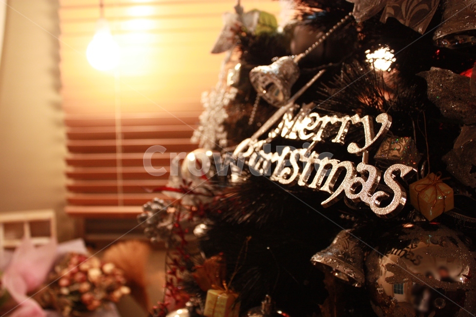 크리스마스트리,christmastree,christmaslights,메리크리스마스,merrychristmas