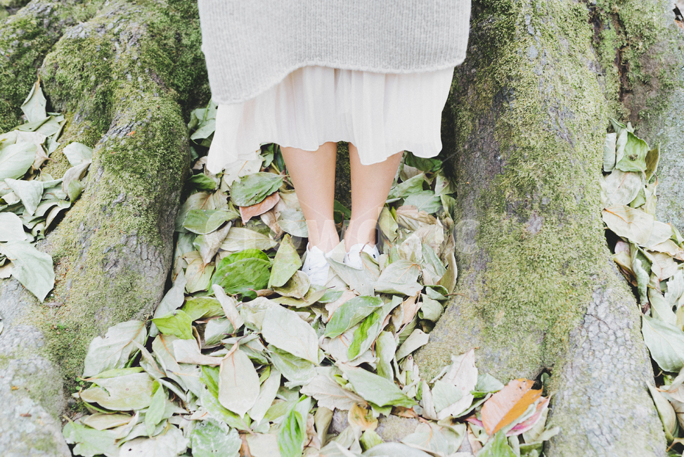 나무,나뭇잎,낙엽,쓸쓸한,고독,치마,초록,자연,혼자,외로움,가을,tree,leaf,green,nature,lonely,가을,계절,fall,autumn,season,사람,인물,인간,human,person,신체일부,몸,body,여성,여자,woman,female,lady,패션스타일,의상,fashion,style,감성,sensible,feeling,고독함,외로움,쓸쓸함,우울함,슬픔,lonely,solitary,plant,식물
