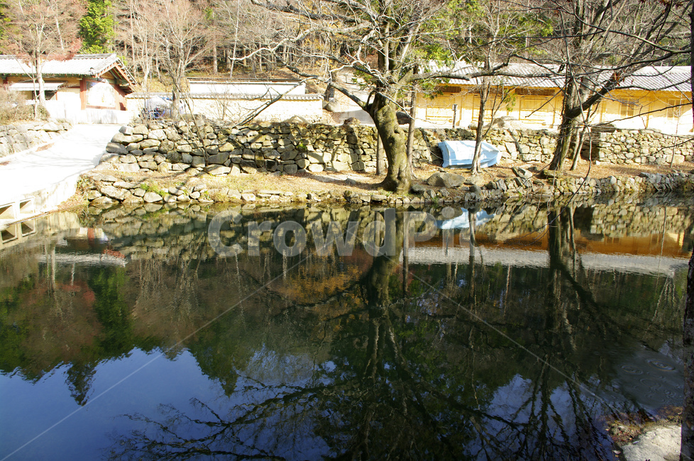 연못,겨울,나무,식물,plant,겨울,계절,winter,season,자연,풍경,nature,landscape,water,물,outdoors,옥외,land,땅