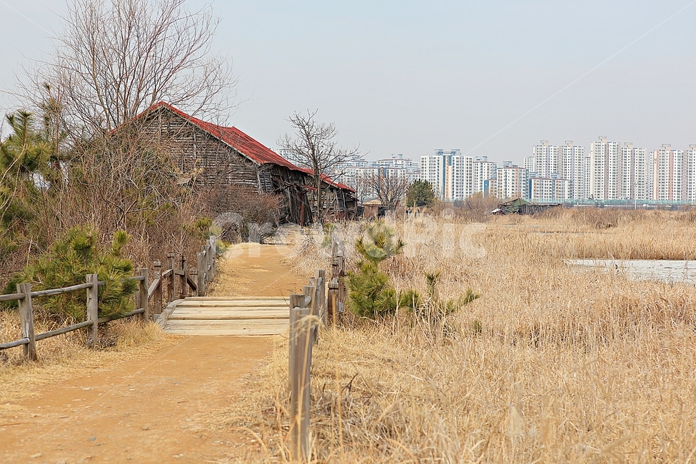 소금창고,염전,건물,창고,소래습지생태공원,갈대,억새,건축물,겨울,식물,자연,풍경