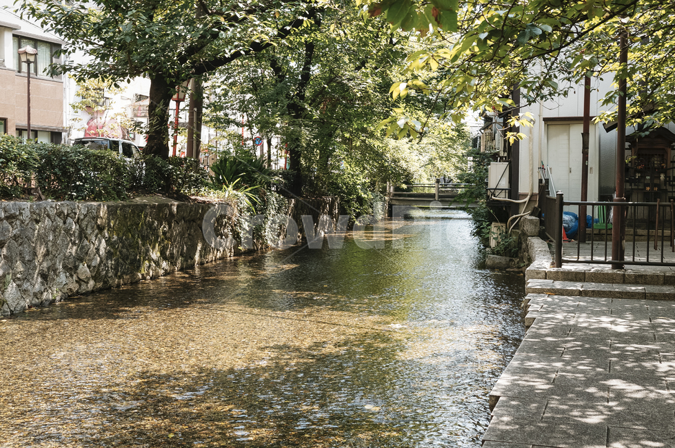하천,다리,교토,물,여름,자연,풍경,nature,landscape,outdoors,옥외,water