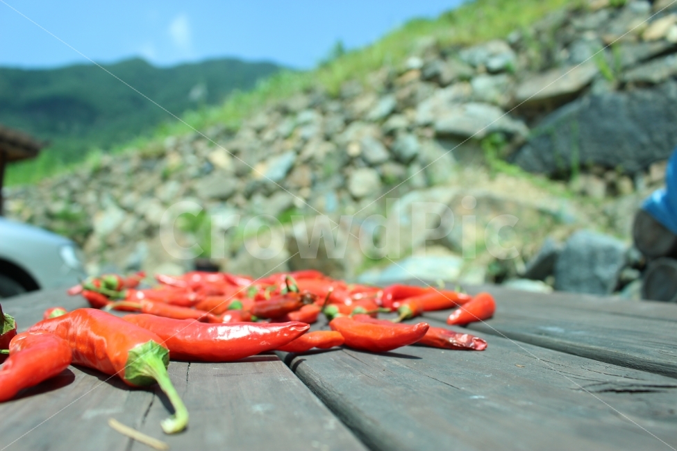 지리산,휴가,여행,산,힐링,펜션,자연,가을,고추,음식,식재료,요리,food,cook,meal,dishes,food reserves,채소,야채,vegetables