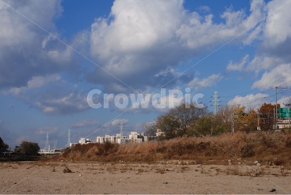 가을,풍경,갈대,억새풀,하늘,구름,나무,자연,풍경,nature,landscape,weather,날씨,outdoors,옥외,cloud,cumulus,적운,sky