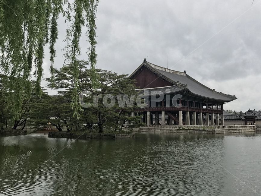 outdoors,옥외,경복궁,흐림,비,기와