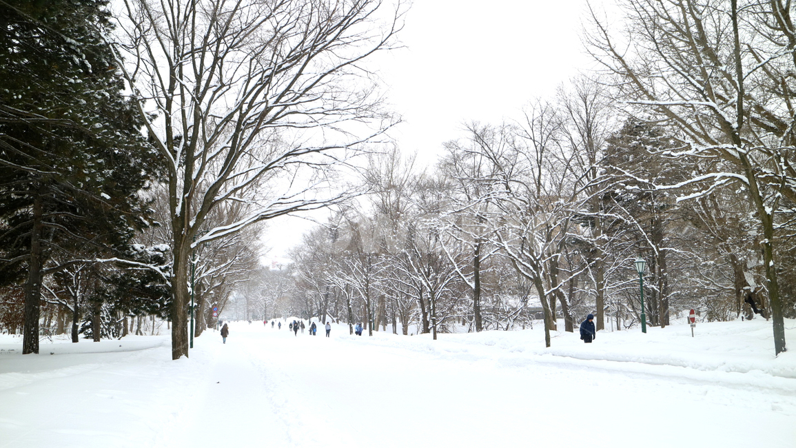 겨울,눈,겨울풍경,winter,snow
