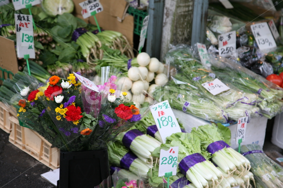 시장,채소,가격,꽃,식물,시장,마트,마켓,market,mart,market place