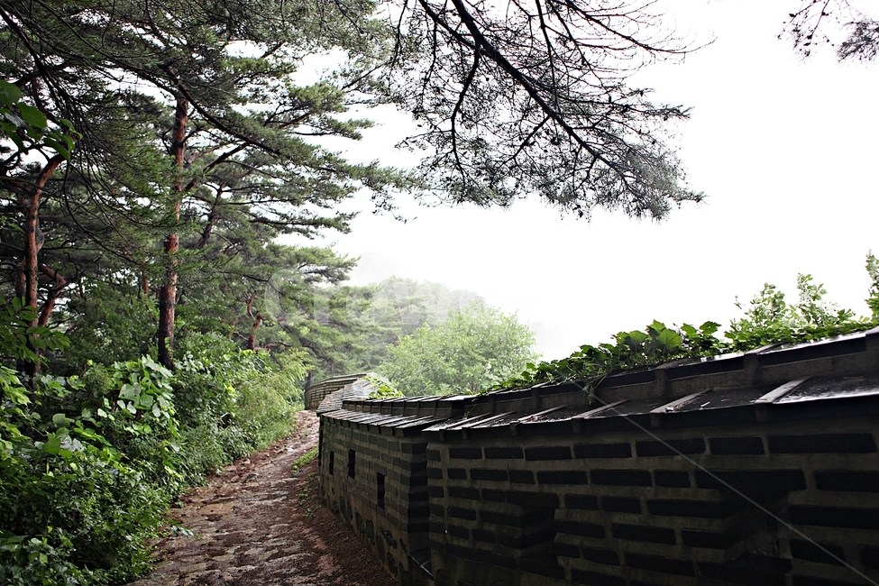 남한산성,성,성곽,길,둘레길,숲,숲길,안개,돌담,담,벽,여름,풍경