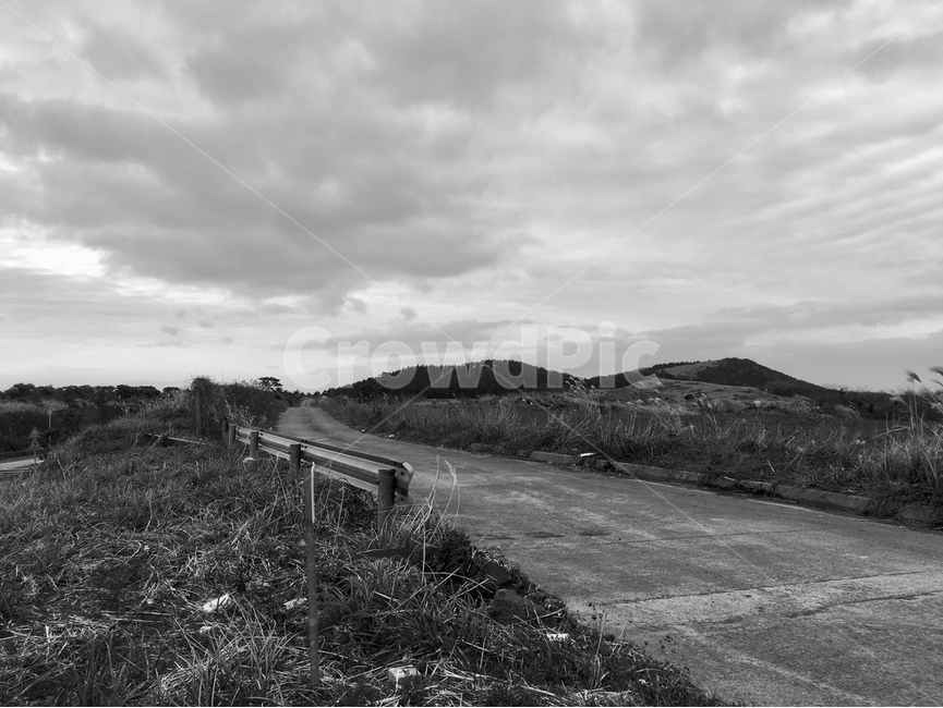 ground,바닥,nature,자연,제주,제주도,흑백,분위기,풍경
