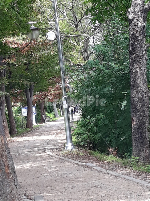 자갈,도로,dirtroad,흙길,road,자연,풍경,nature,landscape