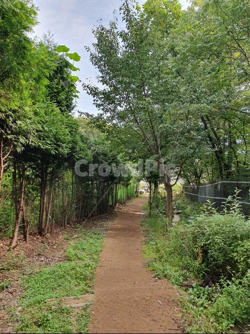 나무,정원,길,숲,자연,자연,풍경,nature,landscape,garden,outdoors,옥외,arbour,정자