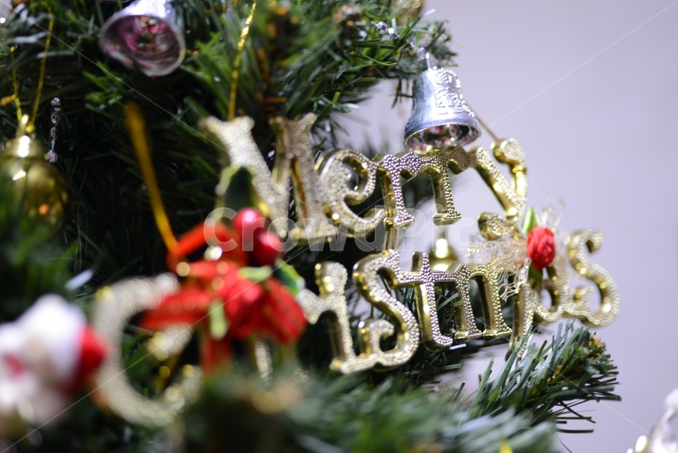 크리스마스,트리,장식,구슬,Christmas,ball,decoration,성탄절,겨울,계절,winter,season,기념일,축하,anniversary,congratulation,celebrate,celebration,메리크리스마스,성탄절,merry christmas,사물,물건,오브젝트,thing,object,matter