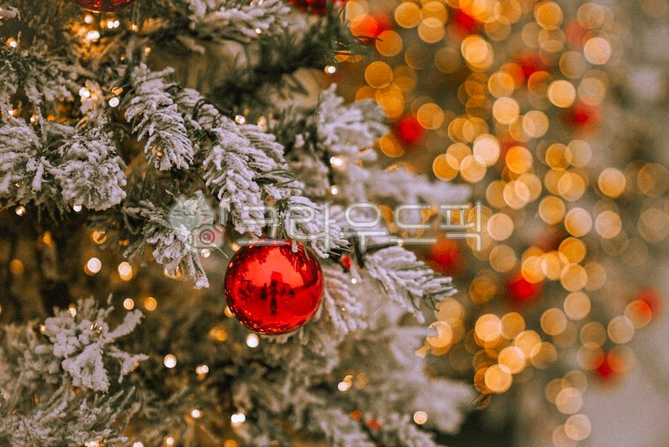 tree,나무,크리스마스,크리스마스장식,전구