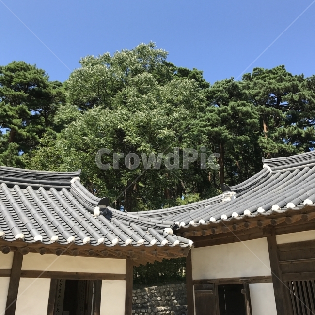 오죽헌,신사임당,전통가옥,기와집,기와,옛날건물,강원도,한국전통,한국문화,korean traditional,korean culture,랜드마크,landmark,tourist attraction,한국랜드마크,한국관광지,한국명소,korea landmark,korea tourist attraction,건축물,건물외관,exterior,building,structure,architecture,construction