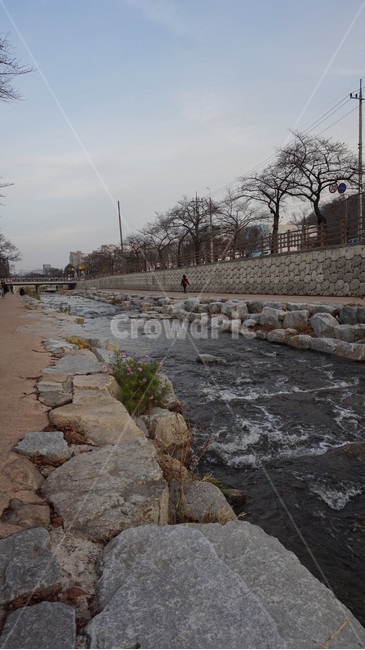 개천,산책로,물가,운동,자연,동물,시간,흐름,물,개울가,도시,풍경,city,landscape,한국도시풍경,한국도시경관,korea cityscape,flagstone,판석,path,통로,walkway,보도,slate,슬레이트