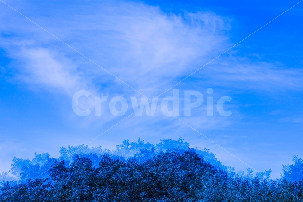 가을하늘,바람,구름의나래,청초한하늘,시원한날의추억,자연,풍경,nature,landscape,sky,하늘,outdoors,옥외,azure sky,푸른 하늘