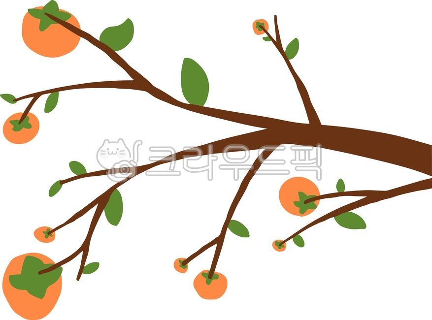 한국,추석,배경디자인,배경,전통,명절,한가위,추석연휴,감,감나무