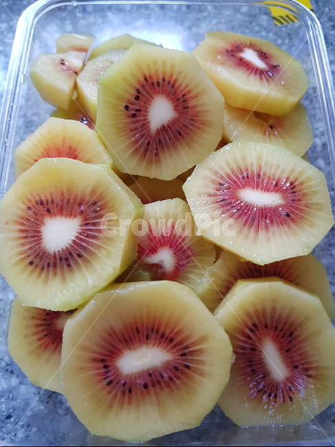 과일,plant,식물,키위,레드키위,레드,kiwi,fruit,빨갛다,red,제주도,음식,식재료,요리,food,cook,meal,dishes,food reserves,과일,열매,fruit