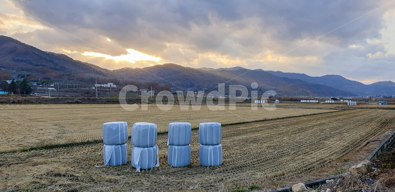 가을,들판,추수,하늘,산,논,밭,벼,벼베기,농업,농사,agriculture,farming,farming industry