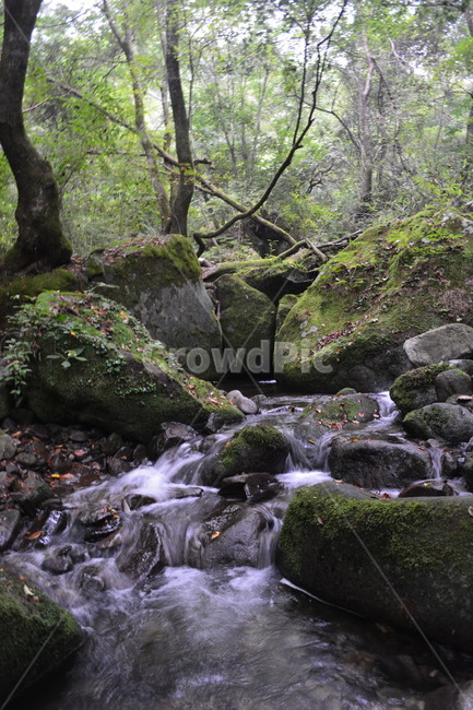 계곡,이끼계곡,자연,산,숲속,자연,풍경,nature,landscape,water,물,outdoors,옥외,stream,흐름,creek,작은 만