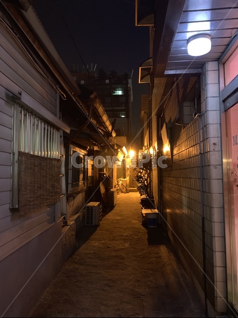 골목길,밤,동네,가로등,산책