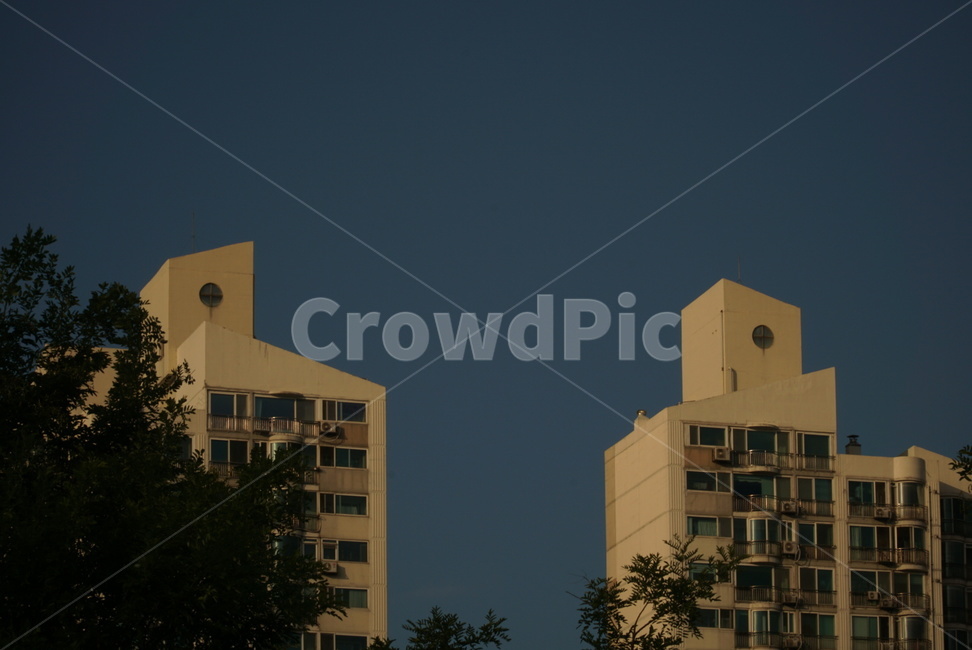 필름,아파트,노을,나무,저녁,도시,풍경,city,landscape,한국도시풍경,한국도시경관,korea cityscape,nature,자연