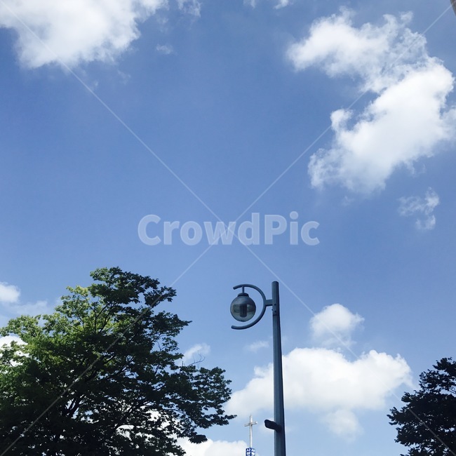 하늘,나무,구름,sunny,cloud,tree